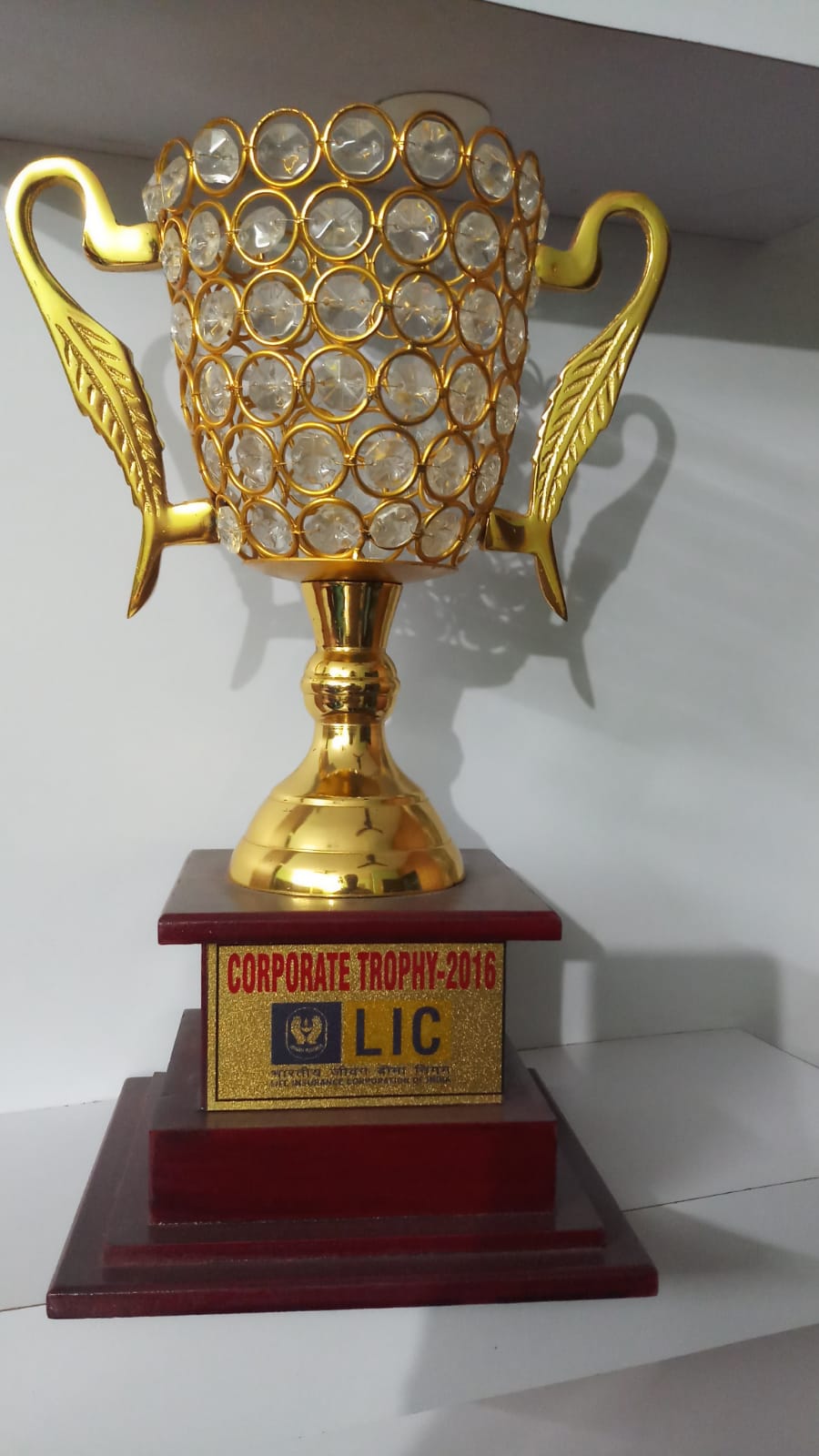 Corporate Trophy 2016