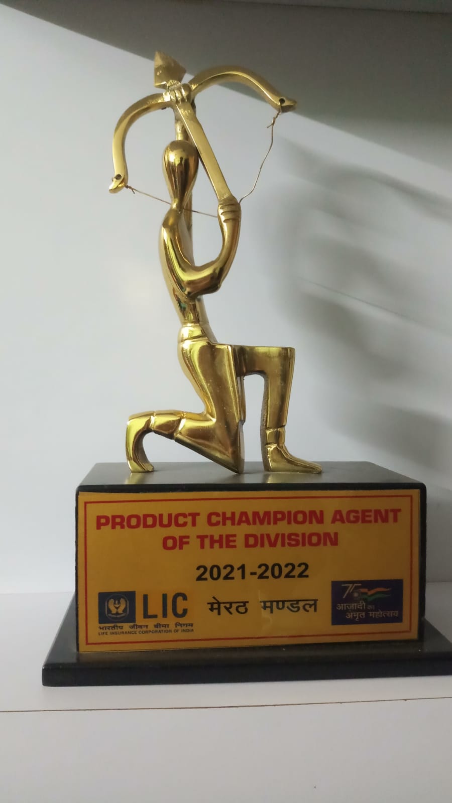 Product Champion Agent of the division 2021-22